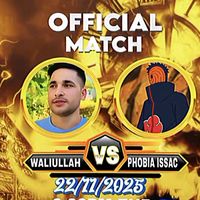 wailsahibzadalover
