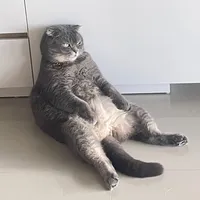 original sound - st_auto04