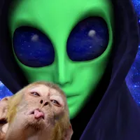 original sound - .pavv1