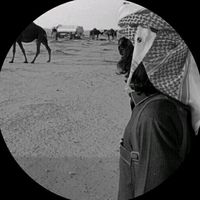 الصوت الأصلي