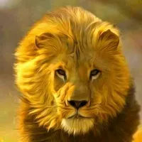 original sound - szakirhossain