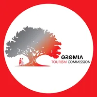 original sound - naziftayibgmail.com2
