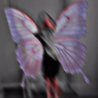 www_xxvv
