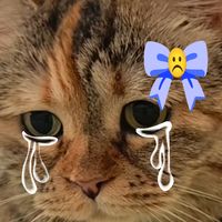 melodycute302
