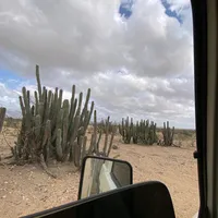 original sound - v_kuast