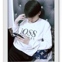 sok_xai2