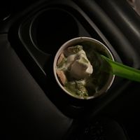 qtoreomcflurry