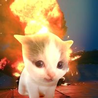 nhạc nền - catt🫧