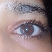 ahsurose0