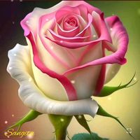 tawhid1173