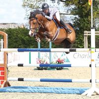 horsexedits110