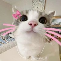 ngankieulee