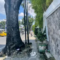 original sound - unknown.id__