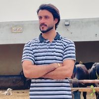 shangujjar8787