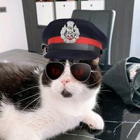 rakmeaw67