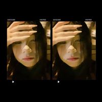 kers_si