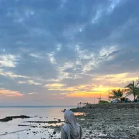 original sound - human__510