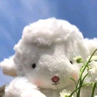 luna_2o22