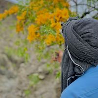 aamir_mandi