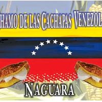 elchamodelascachapasvzla