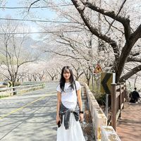 plawan_48