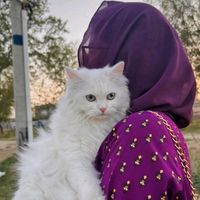 queenjannat633