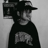 pvvdray