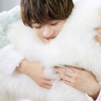 kajuya_lovely