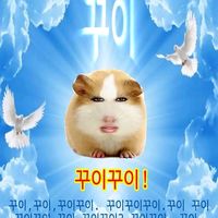오리지널 사운드 - .