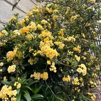 original sound - kinchok75