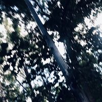 slava_lisovetss