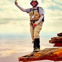 الصوت الأصلي