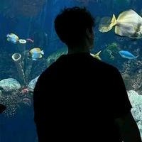 suara asli - RAPZ...LEGO