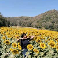 original sound - Myat Lay