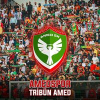 TRİBÜN AMED