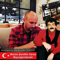 orijinal ses