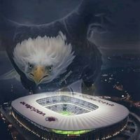 kartal..48