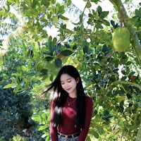 t_dyn2708