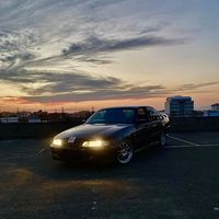 cap_scoots