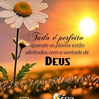 luiz.motta07