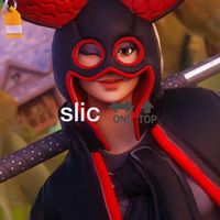 rayan_slic070