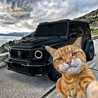 original sound - _hncy69