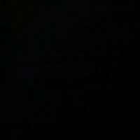 w_warlapinni42x