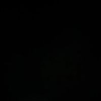 rore.788