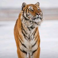 _yerazz_1