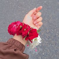 henanaeem0