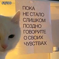 оригинальный звук