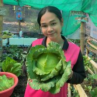 เสียงต้นฉบับ - jetniphat_01