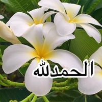 soso5a6
