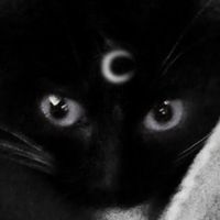 weird.kitty4